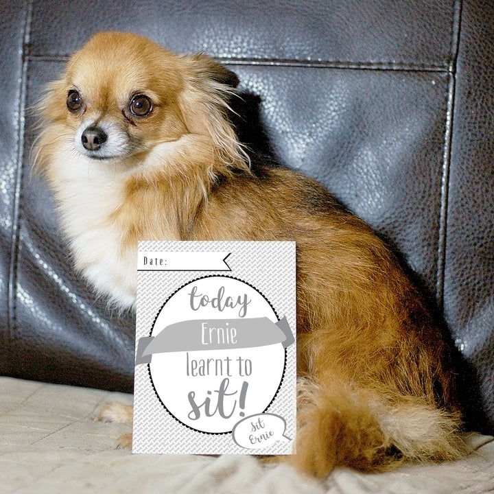 Buy Personalised Puppy Cards: For Milestone Moments at www.giftsfinder.co.uk