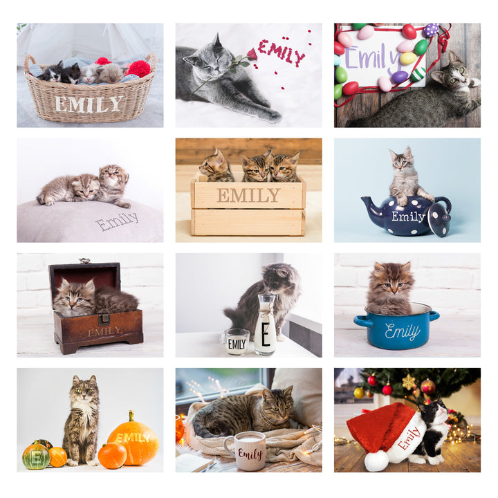 Buy Personalised Cats and Kittens Desk Calendar available now at www.giftsfinder.co.uk