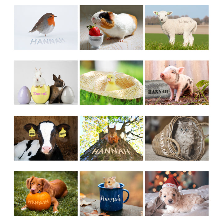 Buy Personalised 2024 A4 Cute Animals Calendar at www.giftsfinder.co.uk