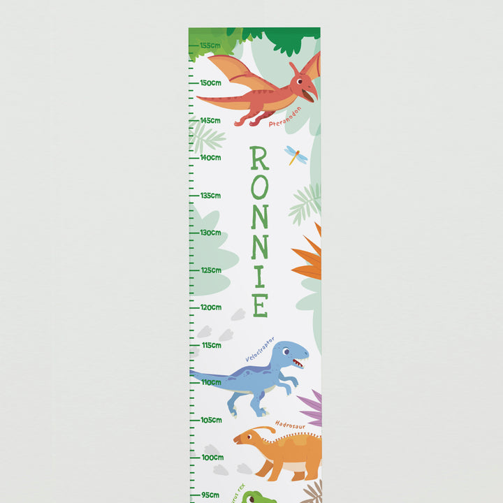 Buy Personalised Dinosaur Height Chart available now at www.giftsfinder.co.uk