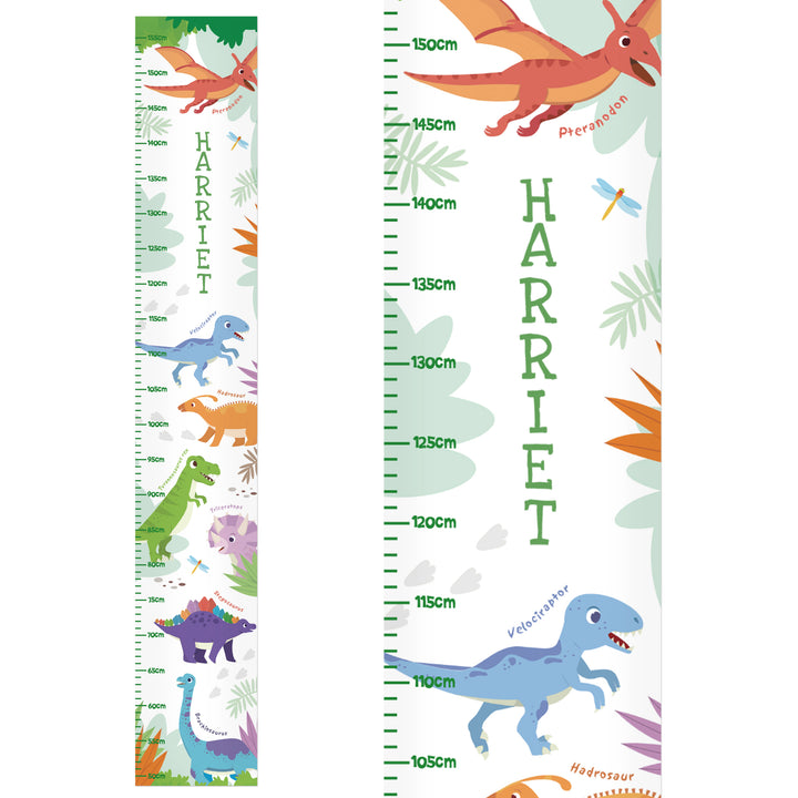 Buy Personalised Dinosaur Height Chart available now at www.giftsfinder.co.uk