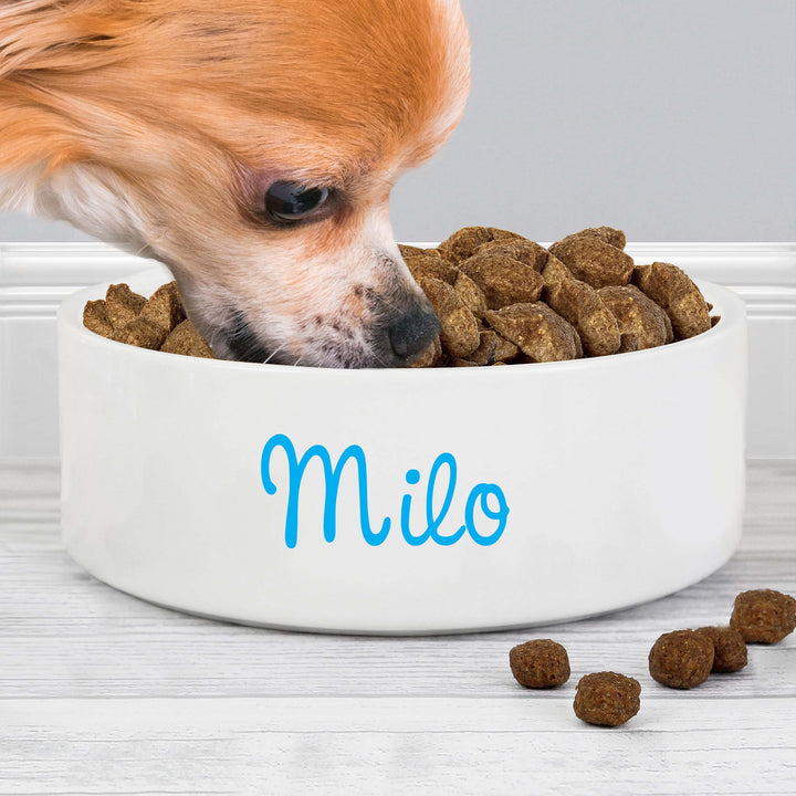 Buy Personalised Blue Name 14cm Medium Pet Bowl For Dogs And Cats available now at www.giftsfinder.co.uk