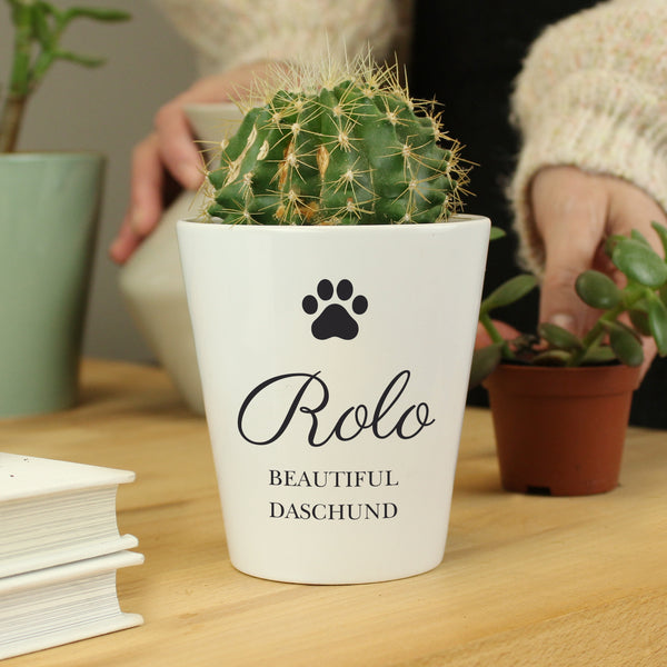 Buy Personalised Paw Print Plant Pot at www.giftsfinder.co.uk