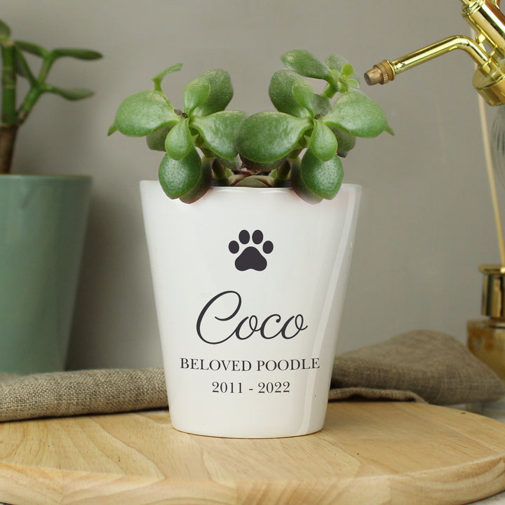 Buy Personalised Paw Print Plant Pot at www.giftsfinder.co.uk