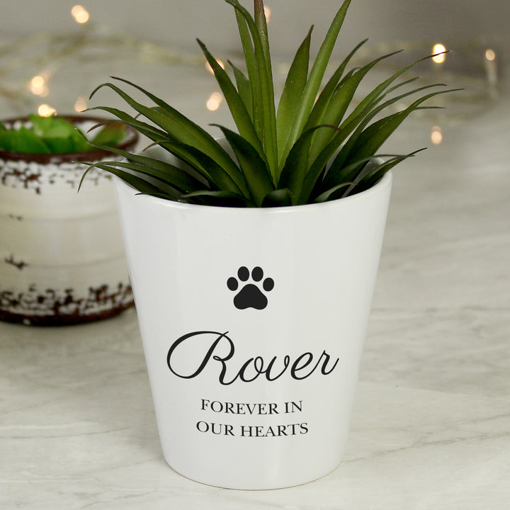 Buy Personalised Paw Print Plant Pot at www.giftsfinder.co.uk