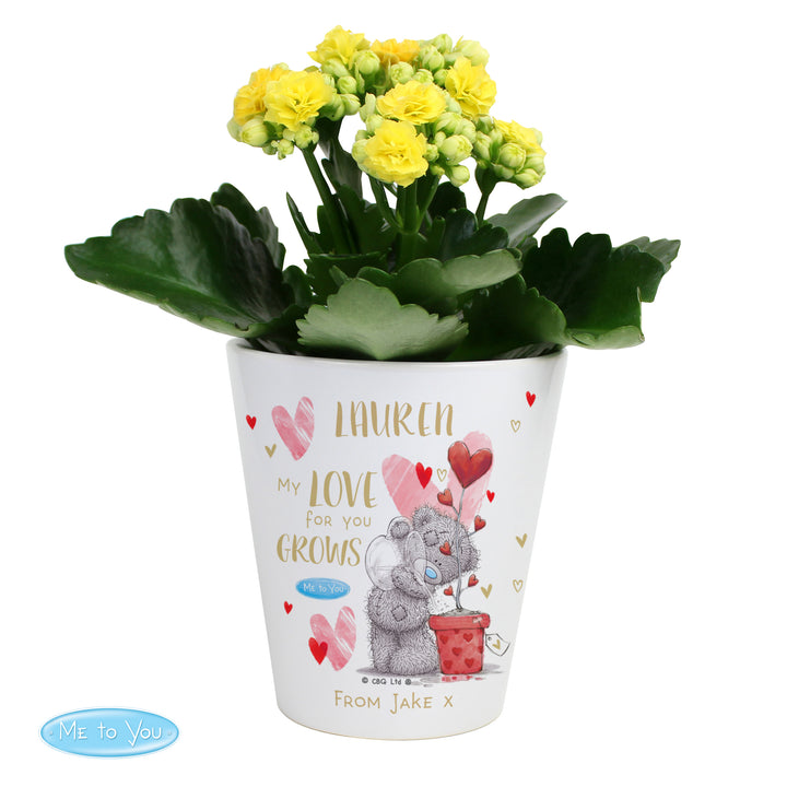 Buy Personalised Me To You Hold You Forever Plant Pot available now at www.giftsfinder.co.uk