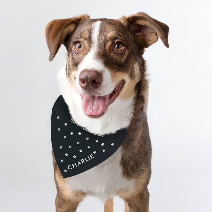 Personalied Paw Print Dog Bandana - part of the Gifts Finder Personalised Dog Bandana collection