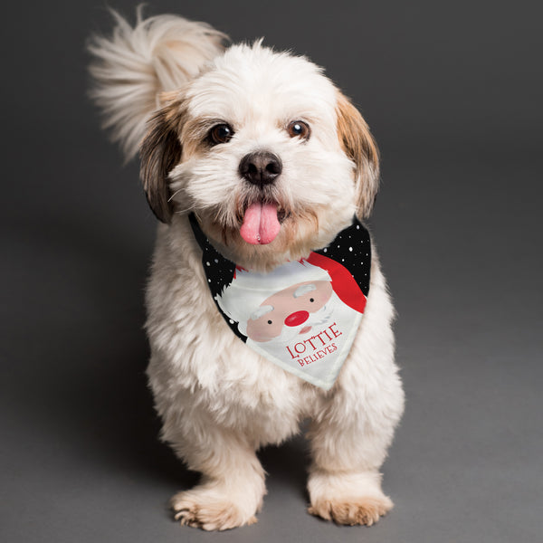 Buy Personalised Santa Dog Bandana at www.giftsfinder.co.uk