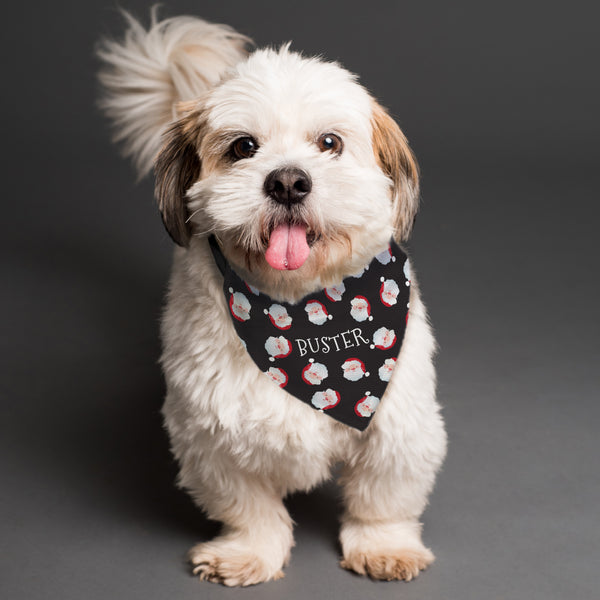 Buy Personalised Santa Black Dog Bandana at www.giftsfinder.co.uk