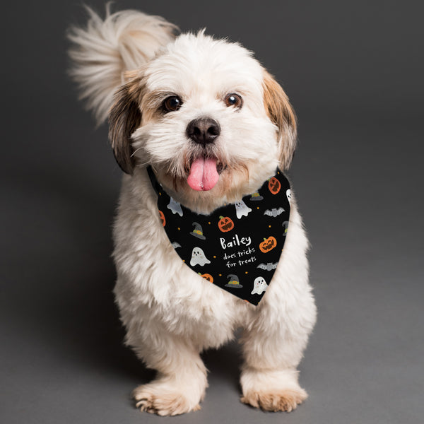 Buy Personalised Halloween Dog Bandana available now at www.giftsfinder.co.uk