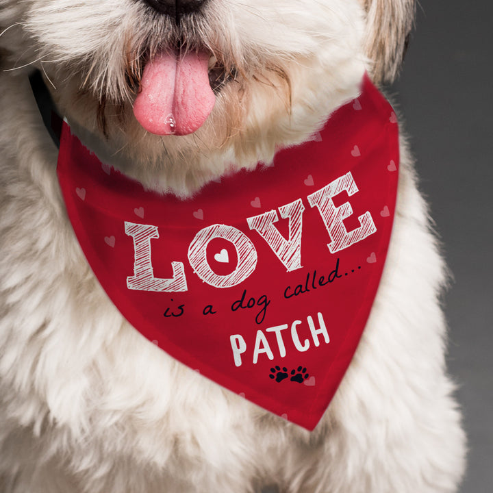 Buy Personalised Love is... Dog Bandana available now at www.giftsfinder.co.uk