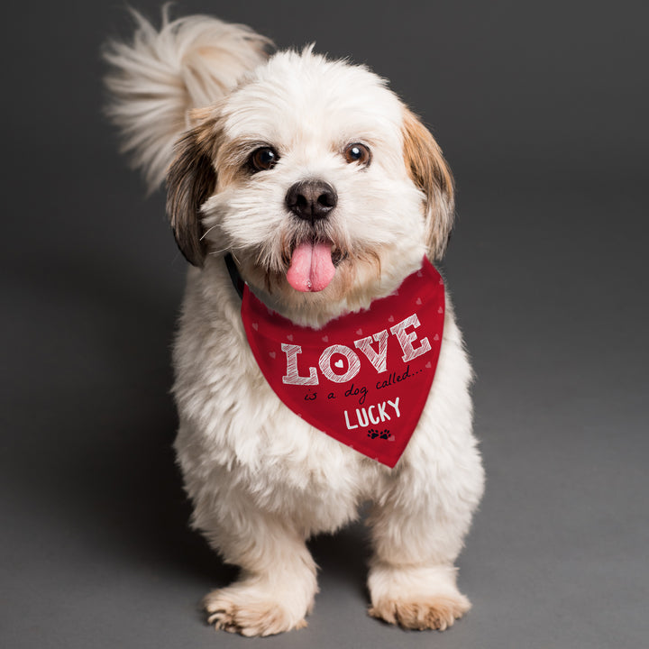 Buy Personalised Love is... Dog Bandana available now at www.giftsfinder.co.uk