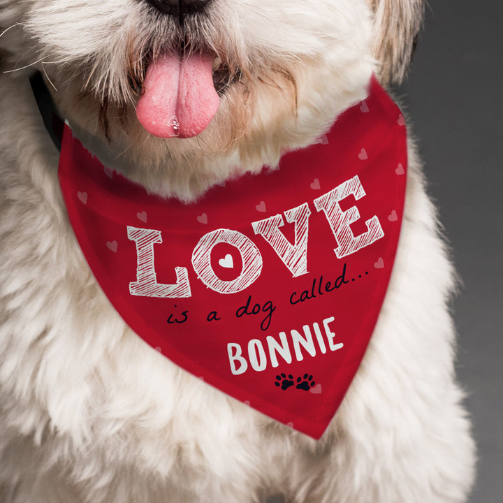 Buy Personalised Love is... Dog Bandana available now at www.giftsfinder.co.uk