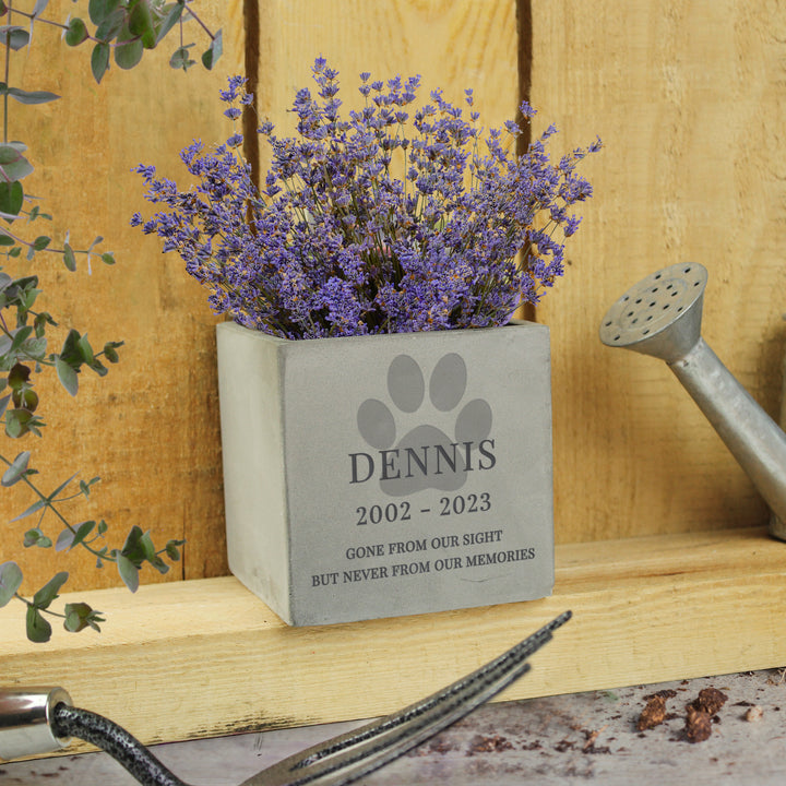 Buy Personalised Pet Memorial Concrete Plant Pot at www.giftsfinder.co.uk