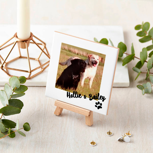 Buy Personalised Ceramic Pet Photo and Mini Easel available now at www.giftsfinder.co.uk