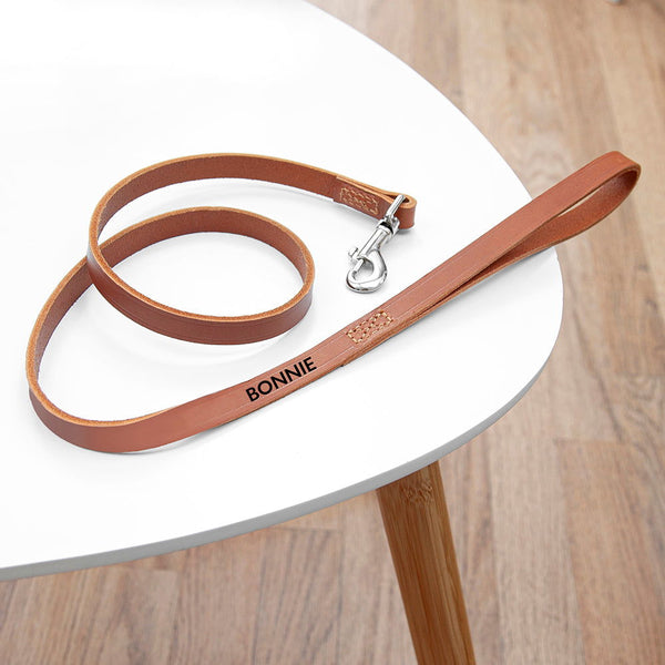 Personalised Classic Brown Leather Dog Lead available to buy at www.giftsfinder.co.uk