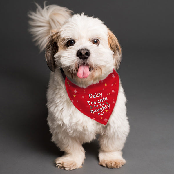 Personalised 'Too cute for the naughty list' Dog Bandana available to buy at www.giftsfinder.co.uk