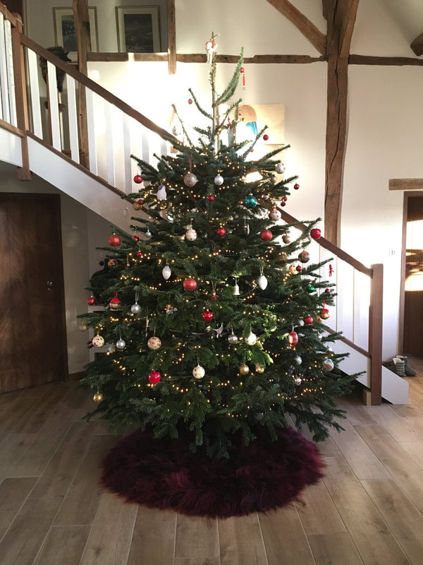 Ultimate Christmas Tree Skirt | Icelandic Sheepskin Burgundy - part of the Christmas Trees & Decorations collection