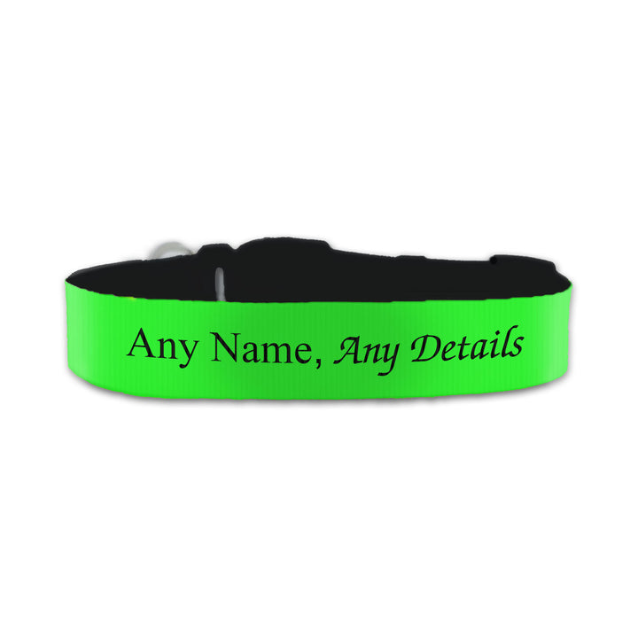 Personalised Small Dog Collar with Green Background Image 2